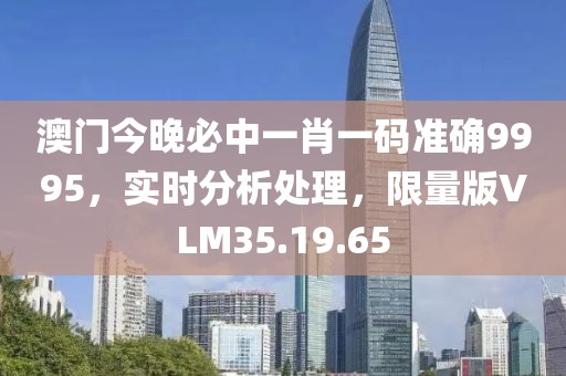 澳门今晚必中一肖一码准确9995，实时分析处理，限量版VLM35.19.65