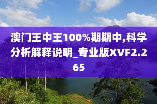 澳门王中王100%期期中,科学分析解释说明_专业版XVF2.265