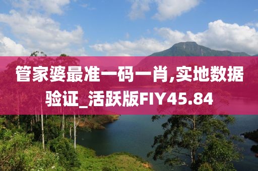 管家婆最准一码一肖,实地数据验证_活跃版FIY45.84