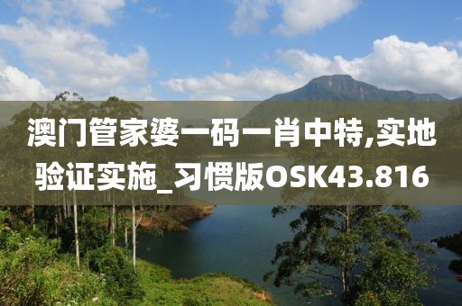 澳门管家婆一码一肖中特,实地验证实施_习惯版OSK43.816