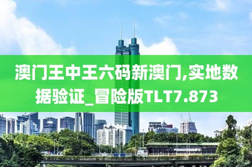 澳门王中王六码新澳门,实地数据验证_冒险版TLT7.873
