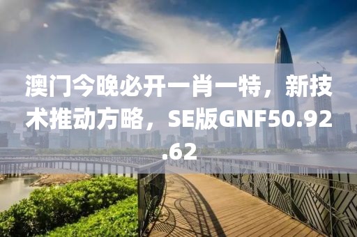 澳门今晚必开一肖一特，新技术推动方略，SE版GNF50.92.62