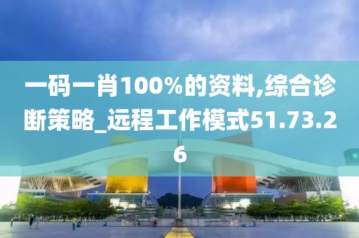 一码一肖100%的资料,综合诊断策略_远程工作模式51.73.26