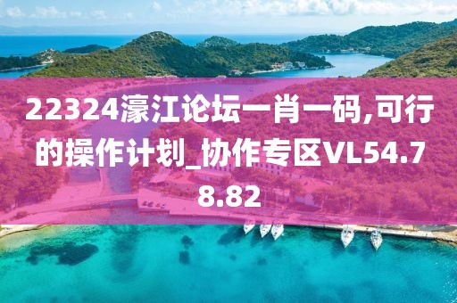 22324濠江论坛一肖一码,可行的操作计划_协作专区VL54.78.82